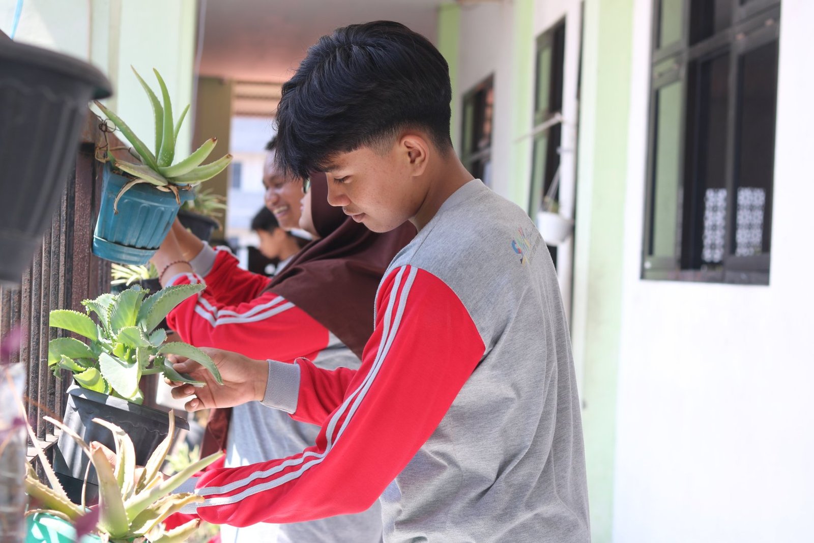 Program JOSS